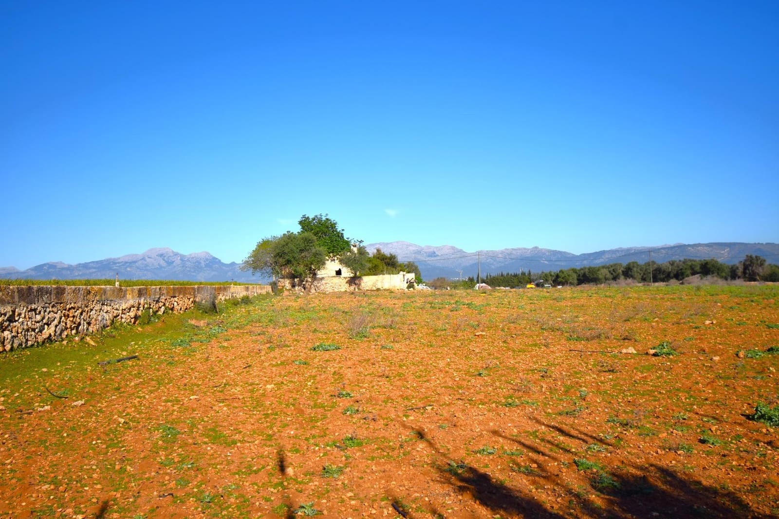 Maalaistalo myytävänä paikassa Muro mukana uima-altaan - 195 000 € (Ref: 8382819)