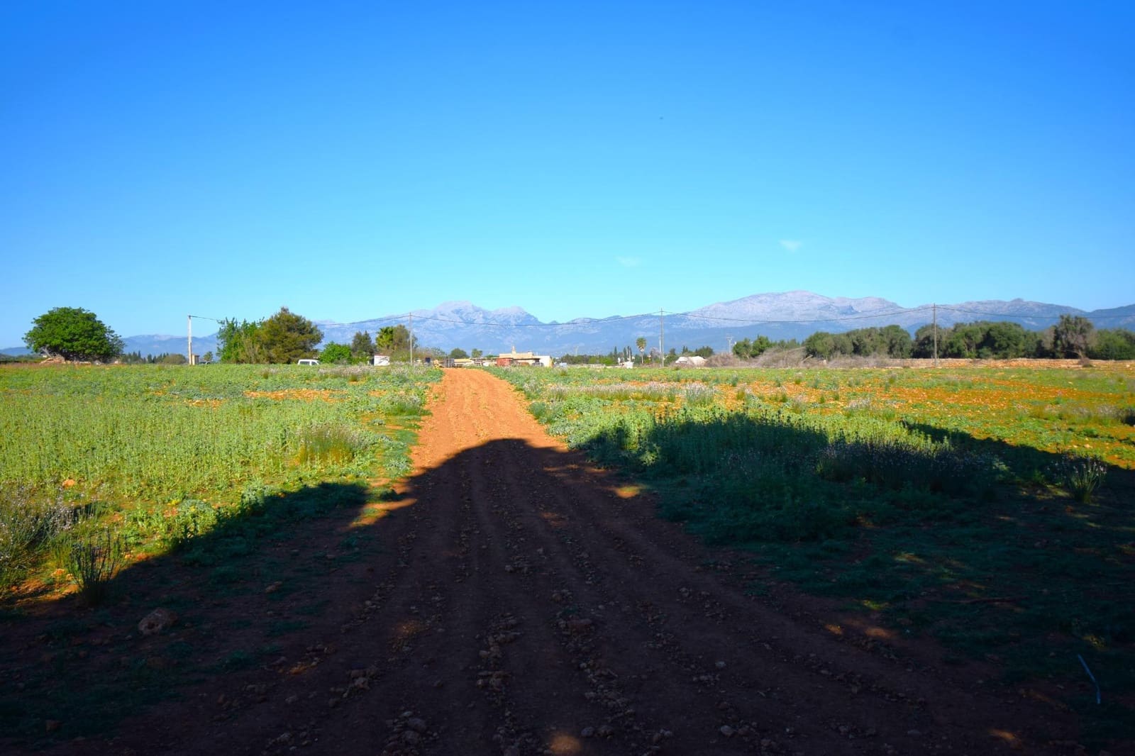 Maalaistalo myytävänä paikassa Muro mukana uima-altaan - 195 000 € (Ref: 8382819)
