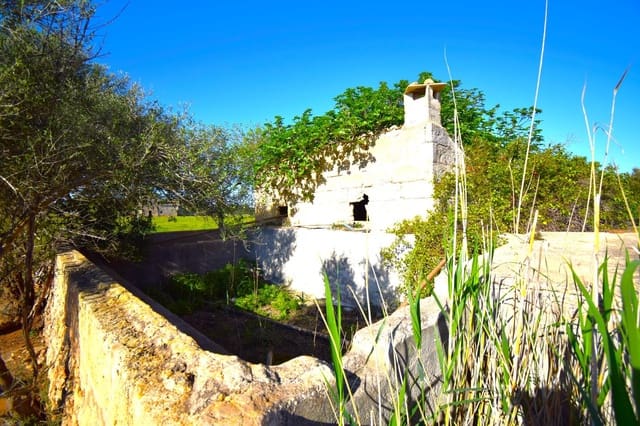 Maalaistalo myytävänä paikassa Muro mukana uima-altaan - 195 000 € (Ref: 8382819)