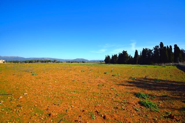 Maalaistalo myytävänä paikassa Muro mukana uima-altaan - 195 000 € (Ref: 8382819)