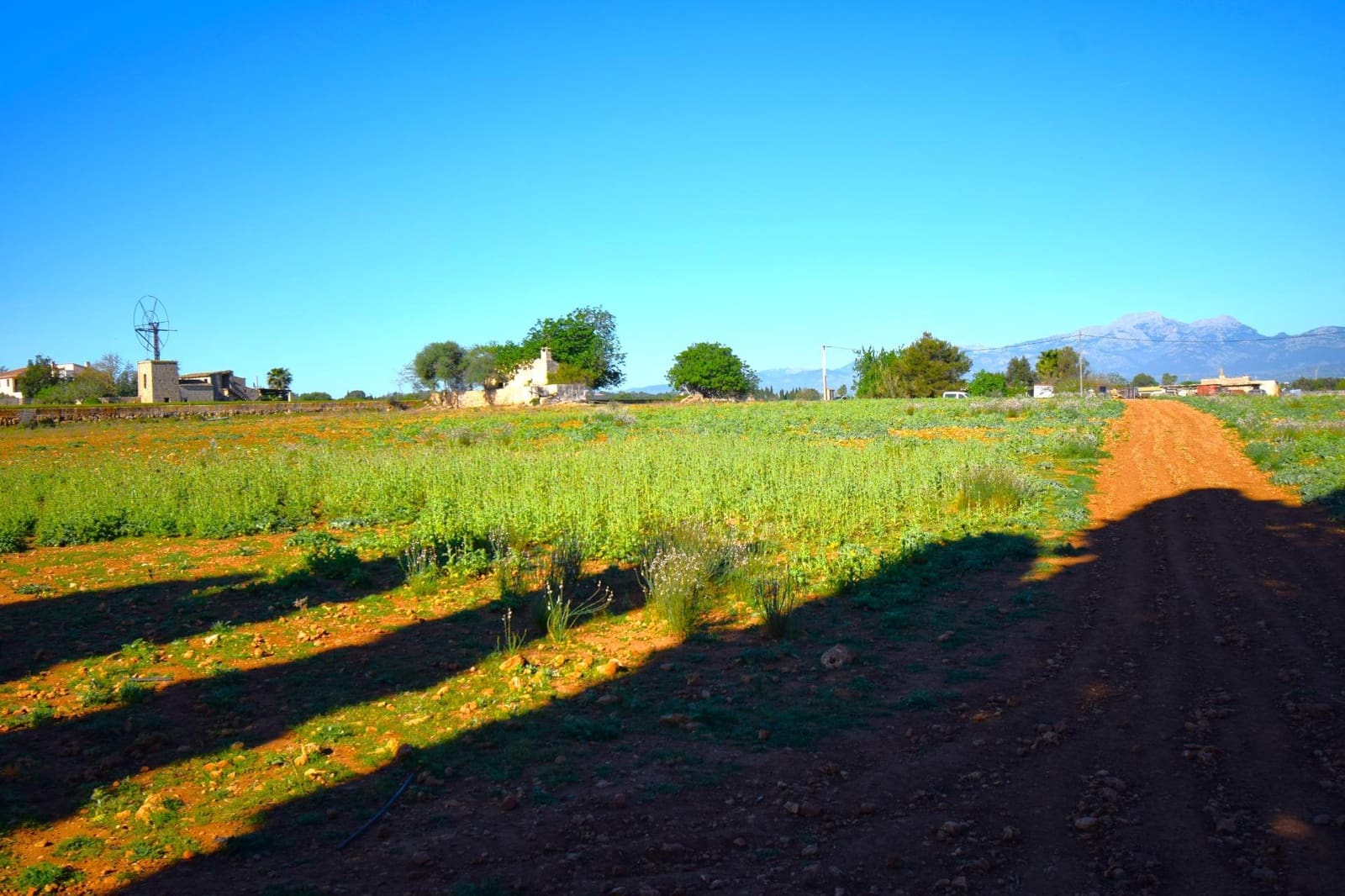 Maalaistalo myytävänä paikassa Muro mukana uima-altaan - 195 000 € (Ref: 8382819)
