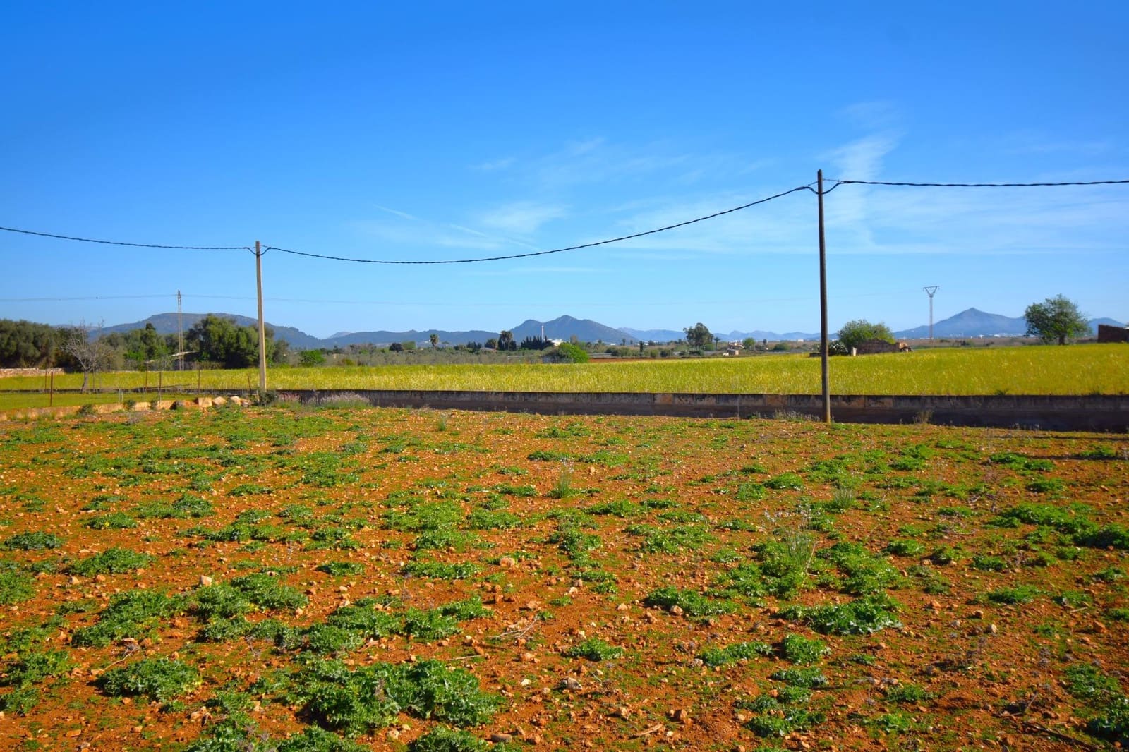 Maalaistalo myytävänä paikassa Muro mukana uima-altaan - 195 000 € (Ref: 8382819)