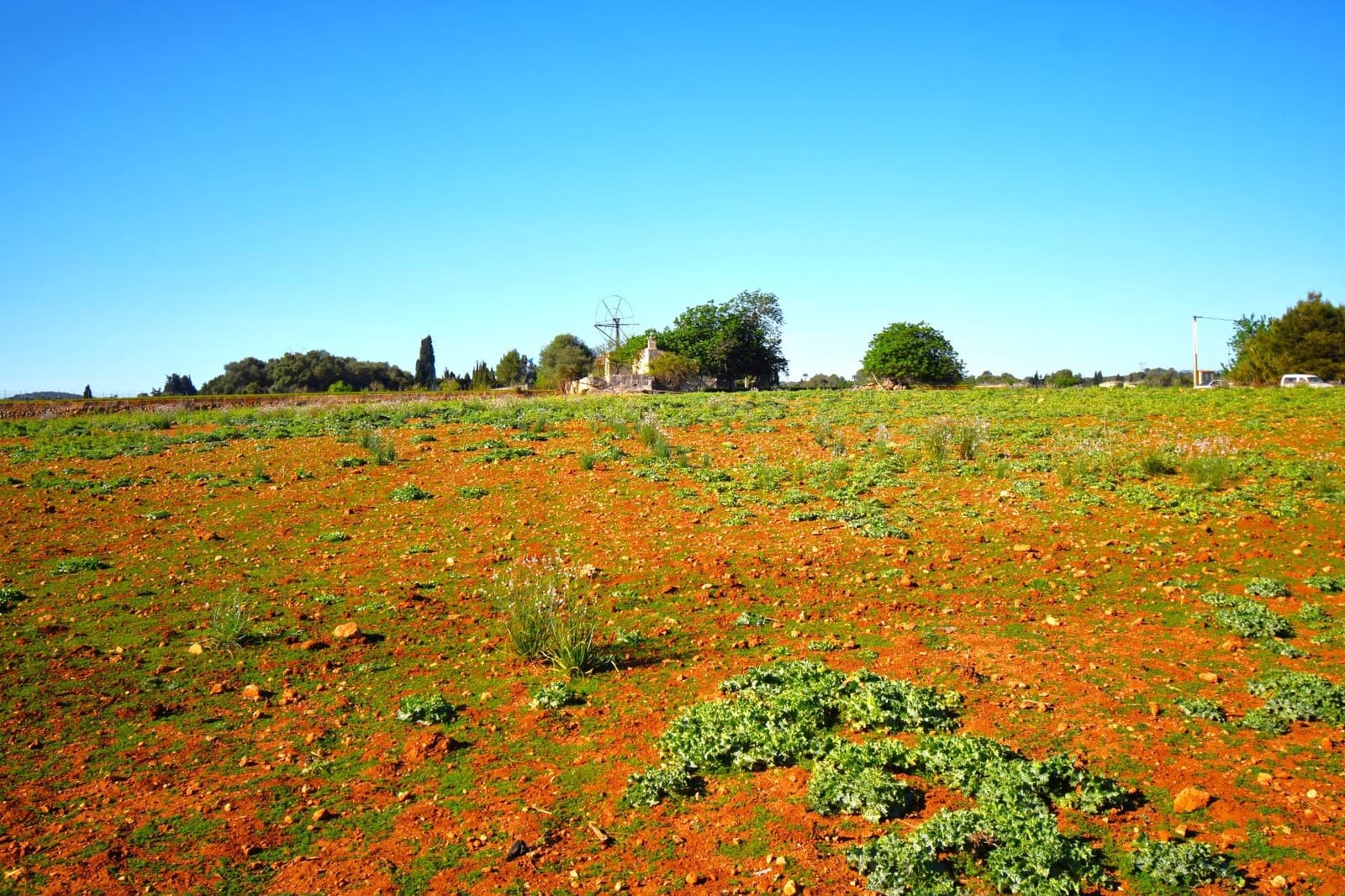Maalaistalo myytävänä paikassa Muro mukana uima-altaan - 195 000 € (Ref: 8382819)