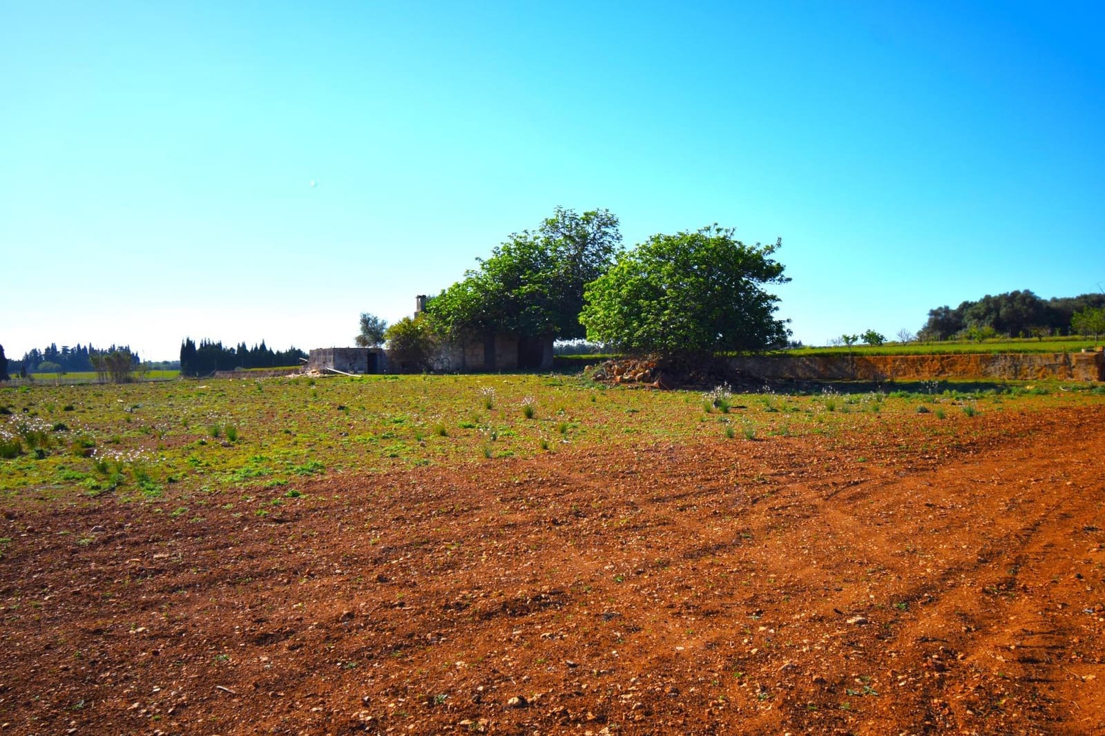 Maalaistalo myytävänä paikassa Muro mukana uima-altaan - 195 000 € (Ref: 8382819)