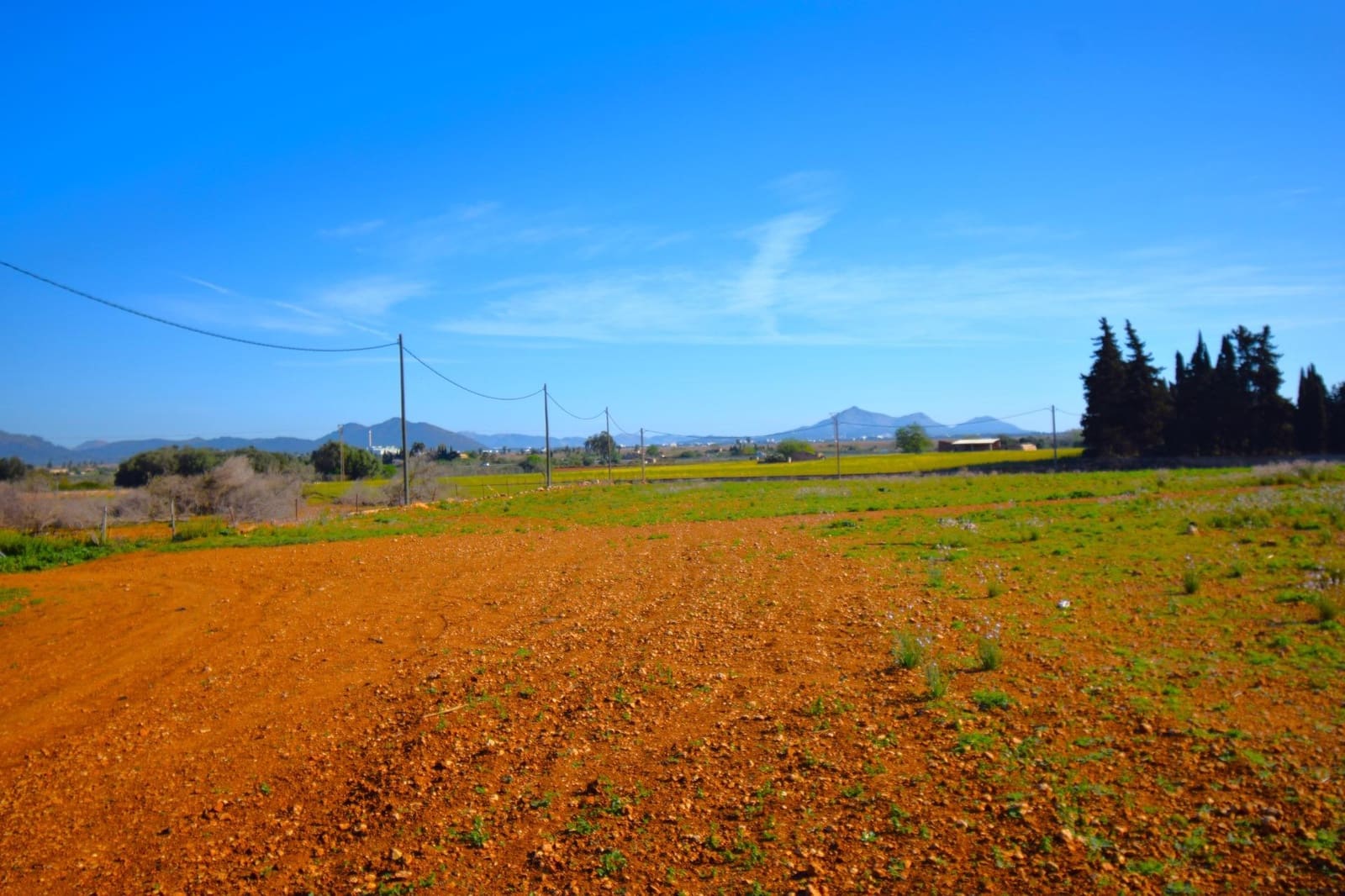 Maalaistalo myytävänä paikassa Muro mukana uima-altaan - 195 000 € (Ref: 8382819)