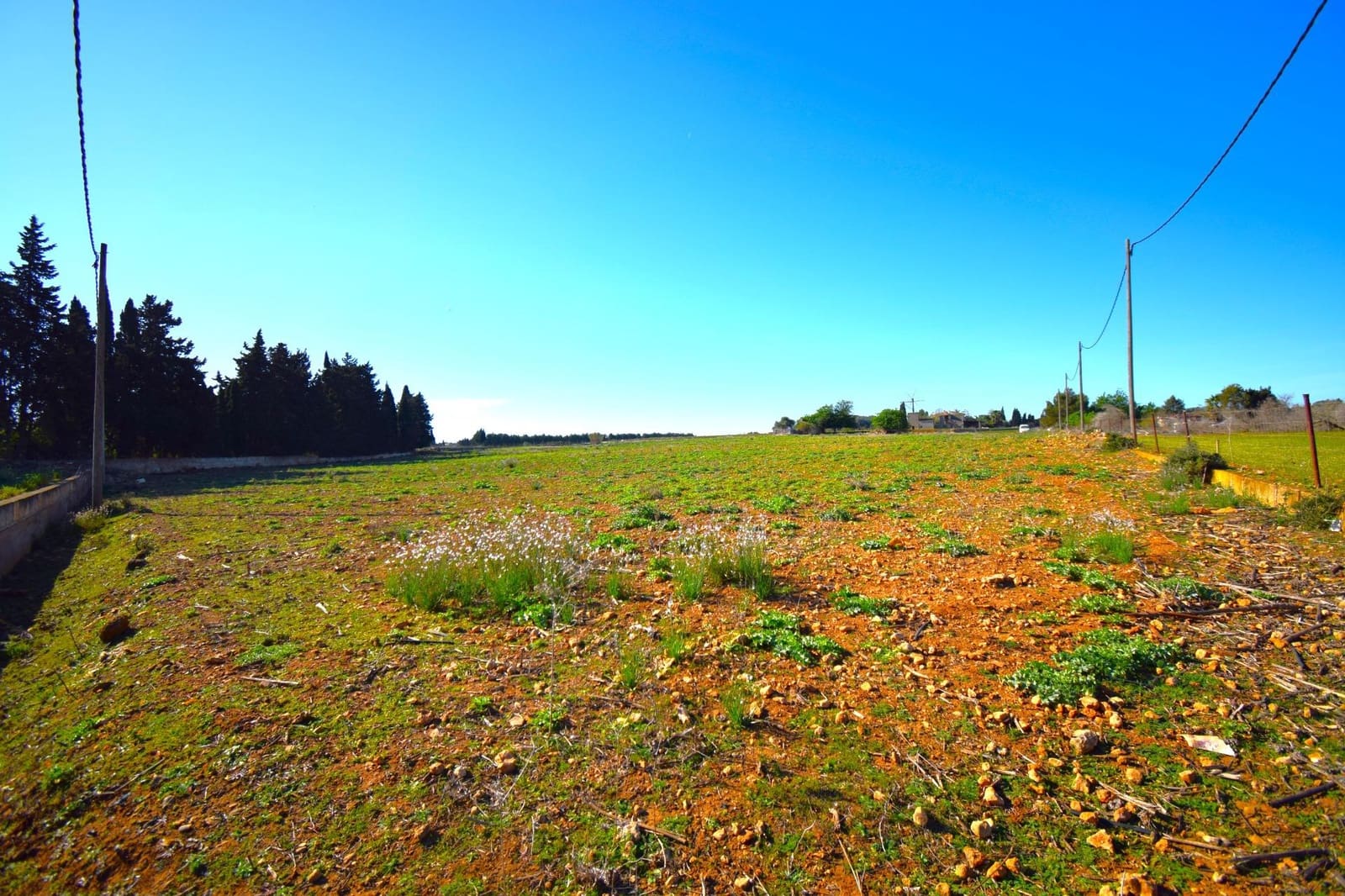 Maalaistalo myytävänä paikassa Muro mukana uima-altaan - 195 000 € (Ref: 8382819)