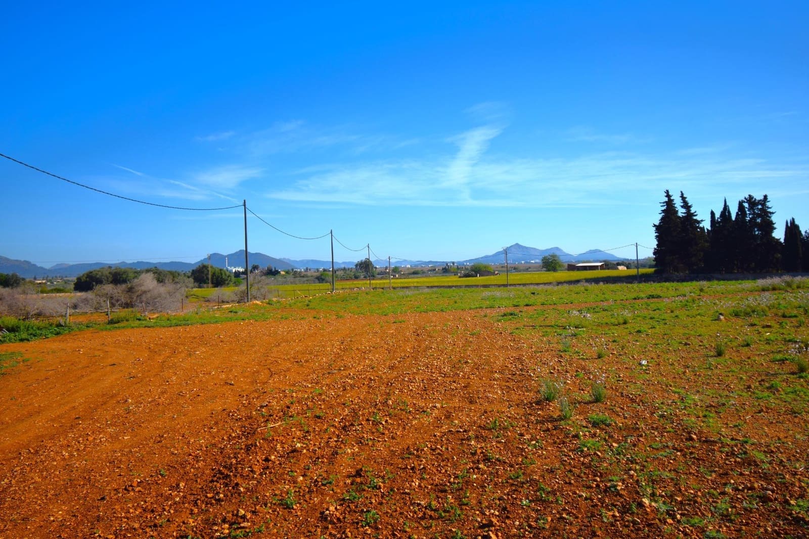 Maalaistalo myytävänä paikassa Muro mukana uima-altaan - 195 000 € (Ref: 8382819)