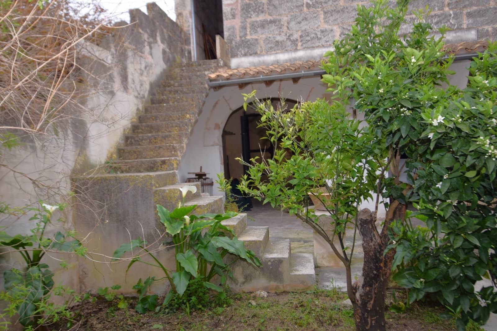 4 soveværelse Byhus til salg i Muro med garage - € 578.000 (Ref: 9753389)