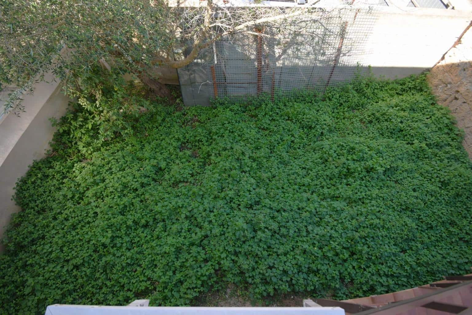 2 soveværelse Erhverv til salg i Muro - € 250.000 (Ref: 9753391)