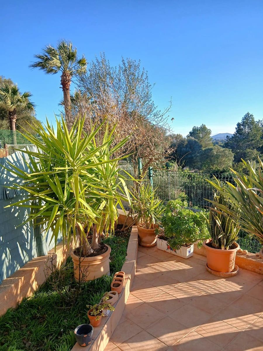 4 soveværelse Lejlighed til salg i Santa Margalida - € 370.000 (Ref: 9753394)