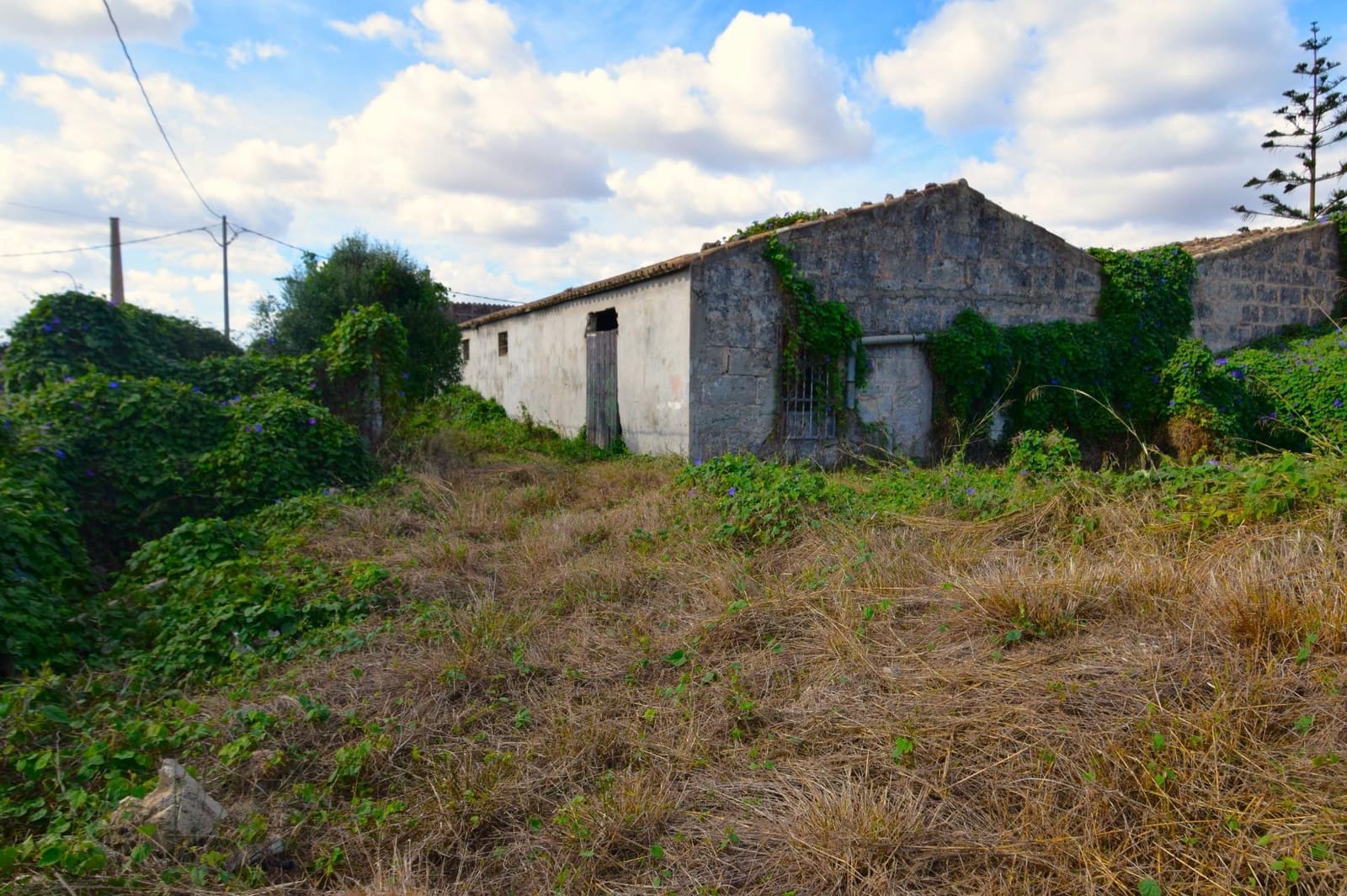 Erhverv til salg i Santa Margalida med garage - € 280.000 (Ref: 9753395)