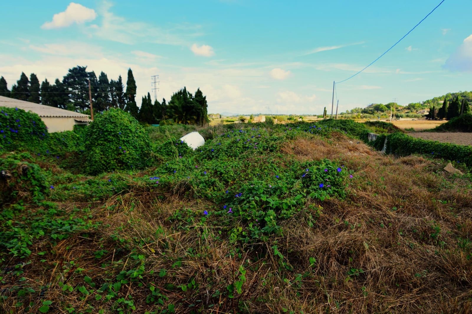 Erhverv til salg i Santa Margalida med garage - € 280.000 (Ref: 9753395)