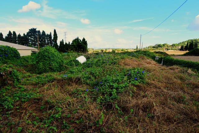 Erhverv til salg i Santa Margalida med garage - € 280.000 (Ref: 9753395)