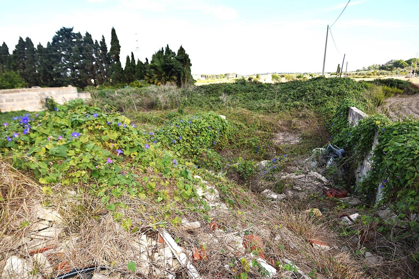 Erhverv til salg i Santa Margalida med garage - € 280.000 (Ref: 9753395)