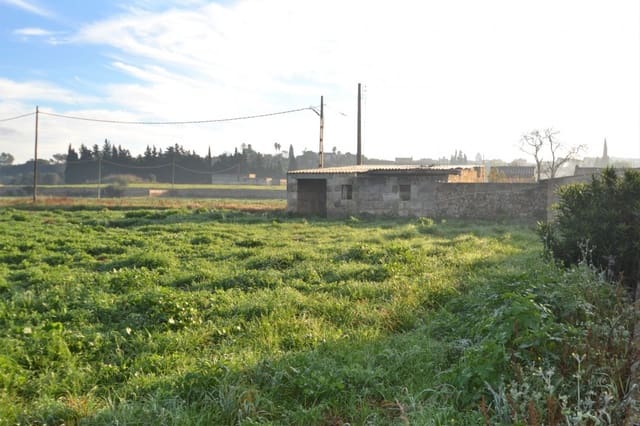 Byggegrund til salg i Muro - € 230.000 (Ref: 9753396)