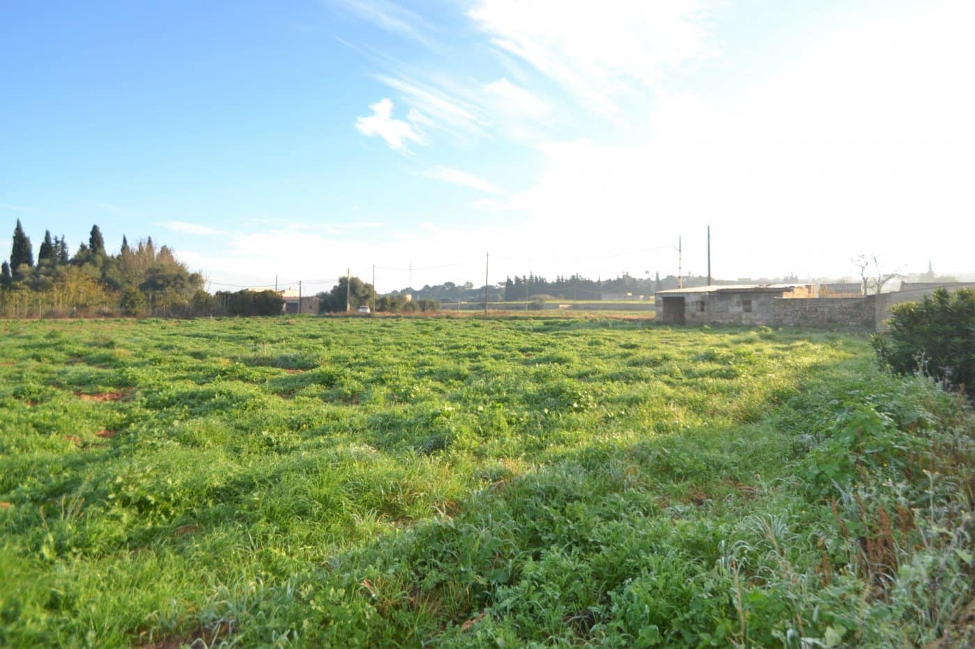 Byggegrund til salg i Muro - € 230.000 (Ref: 9753396)