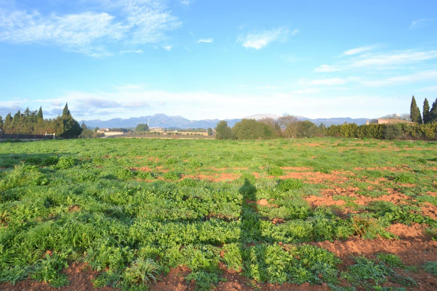 Byggegrund til salg i Muro - € 230.000 (Ref: 9753396)