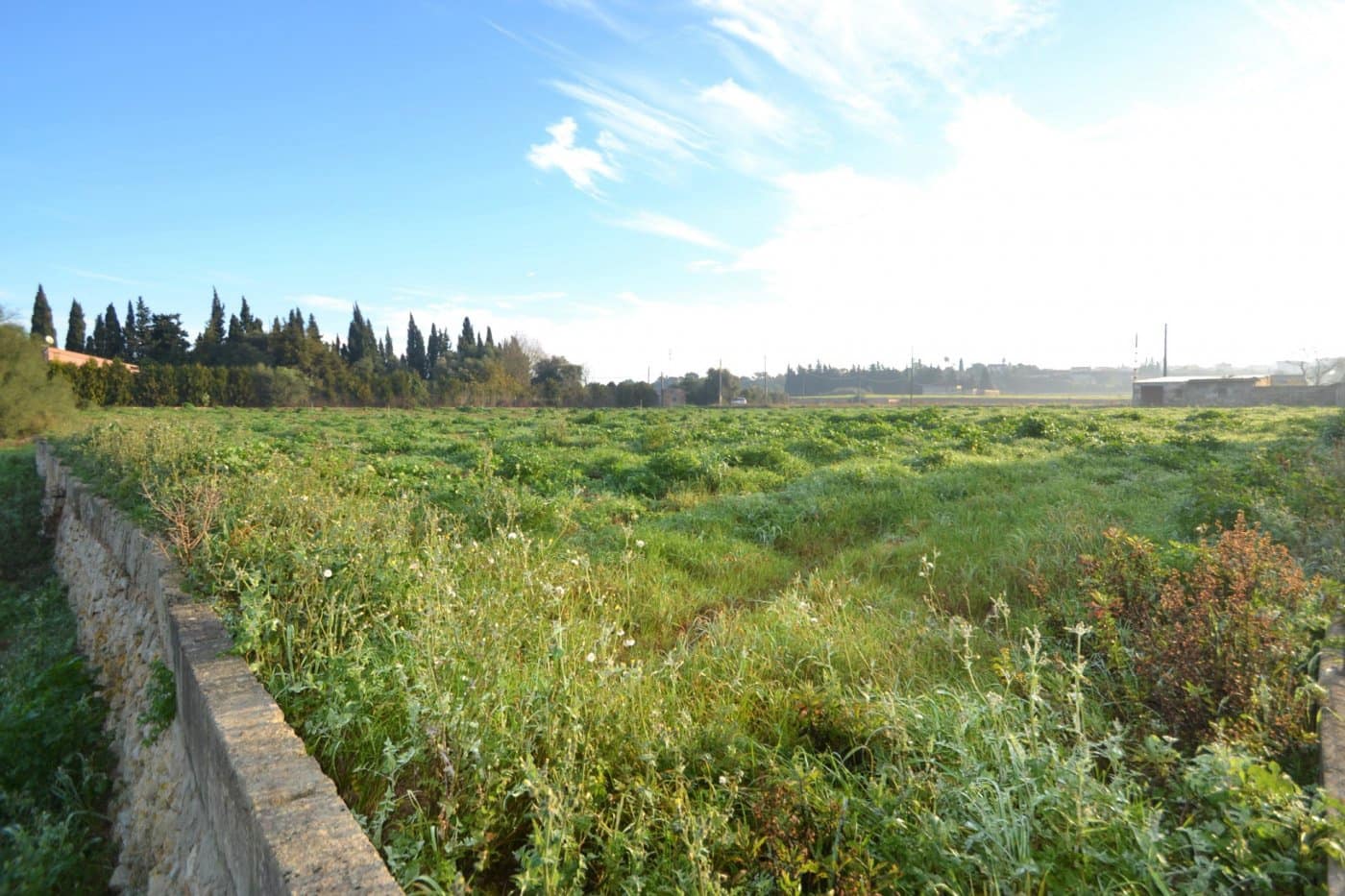 Byggegrund til salg i Muro - € 230.000 (Ref: 9753396)