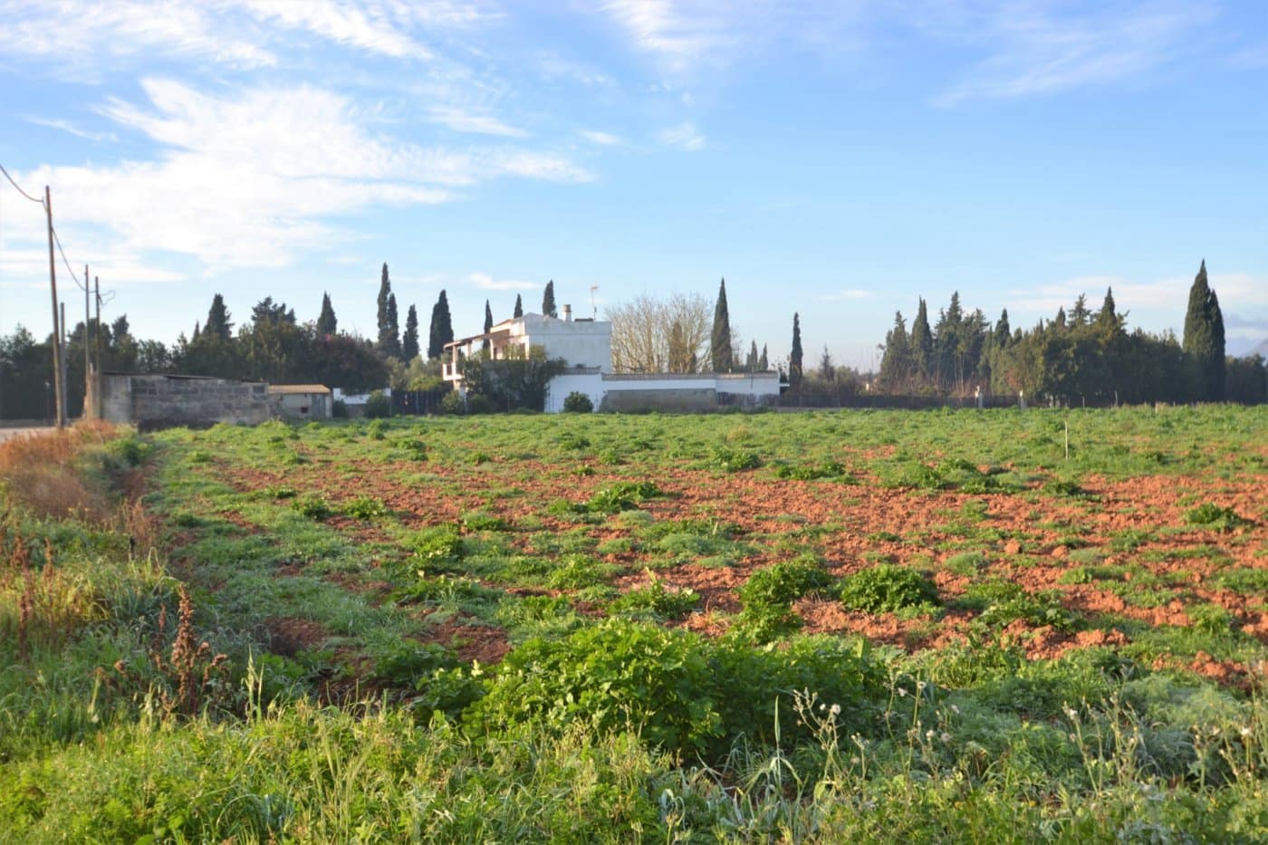 Byggegrund til salg i Muro - € 230.000 (Ref: 9753396)