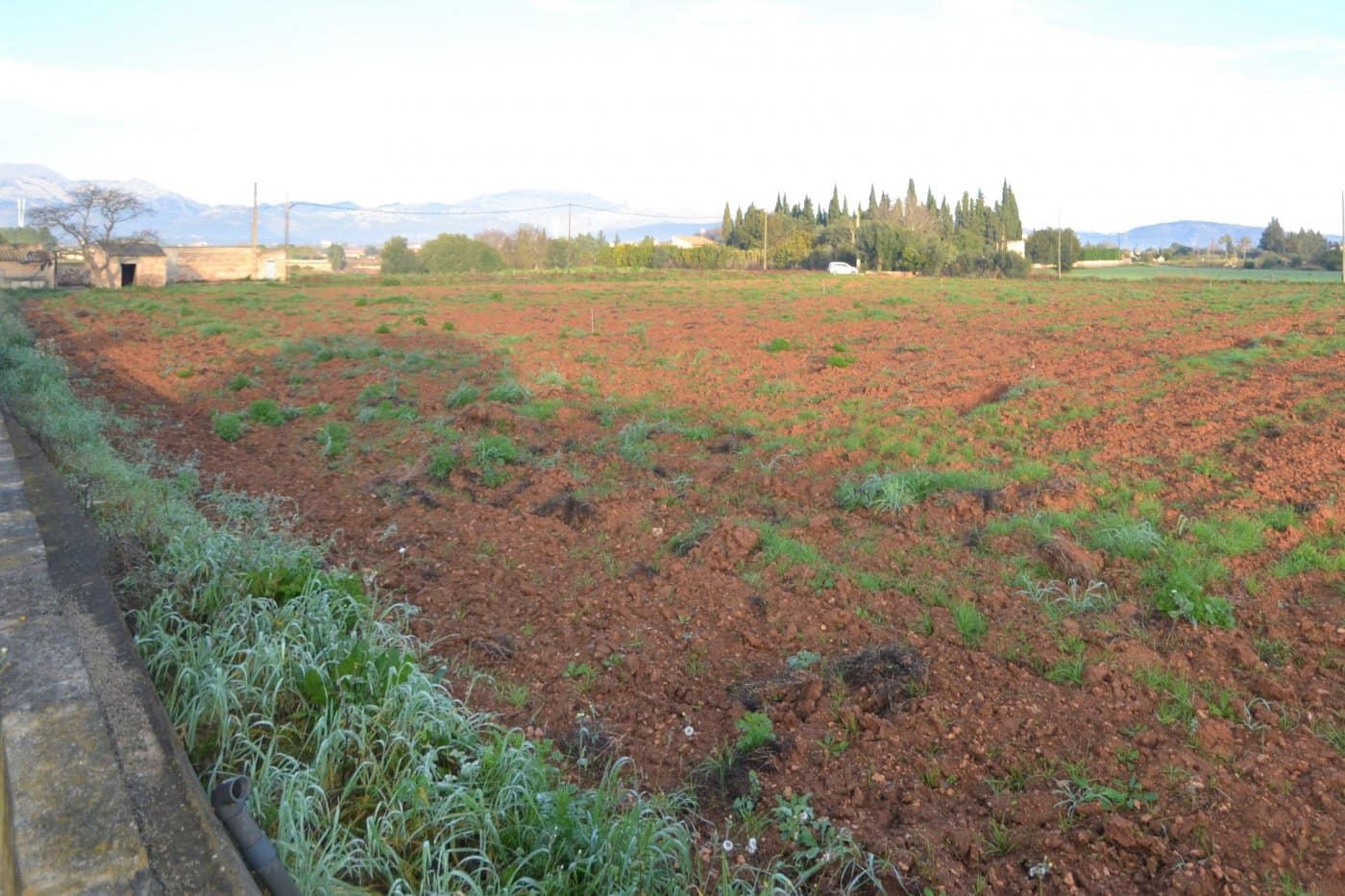 Byggegrund til salg i Muro - € 230.000 (Ref: 9753396)