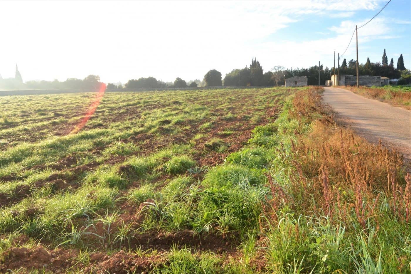 Byggegrund til salg i Muro - € 230.000 (Ref: 9753396)