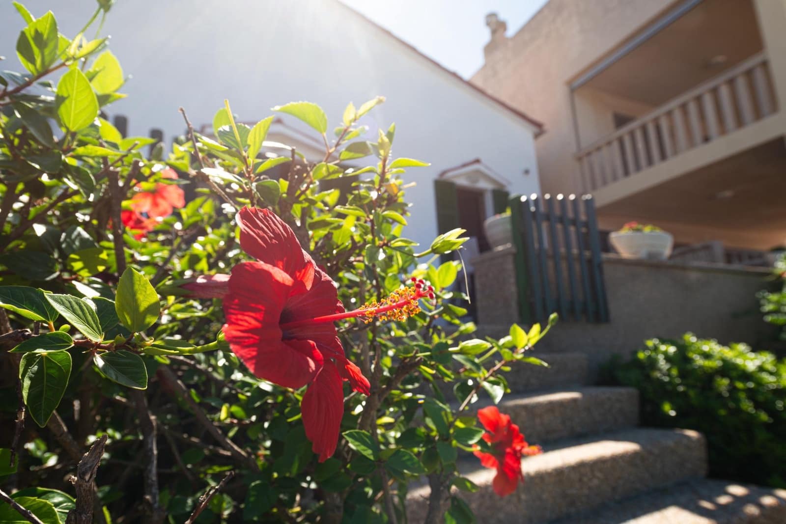 4 soveværelse Villa til leje i Alcudia - € 3.800 (Ref: 9753397)