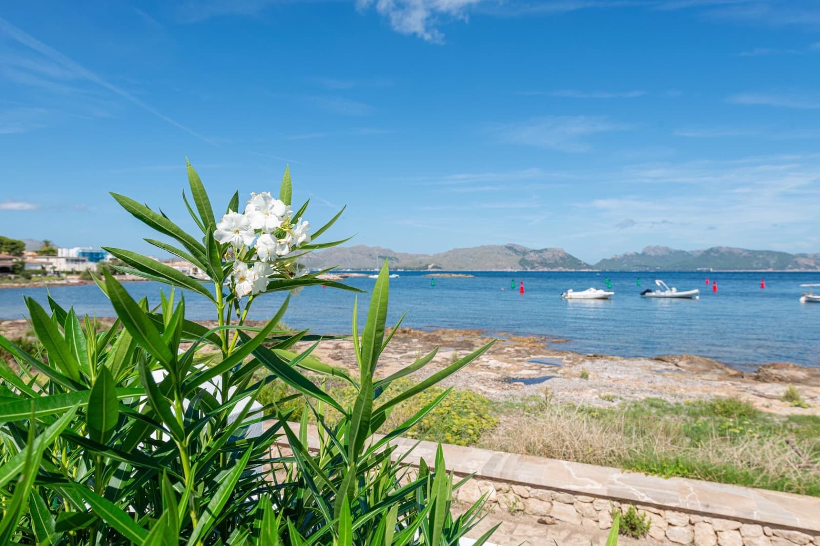 4 soveværelse Villa til leje i Alcudia - € 3.800 (Ref: 9753397)