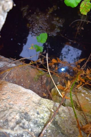 Rakentamaton maa myytävänä paikassa Muro - 45 000 € (Ref: 9753399)