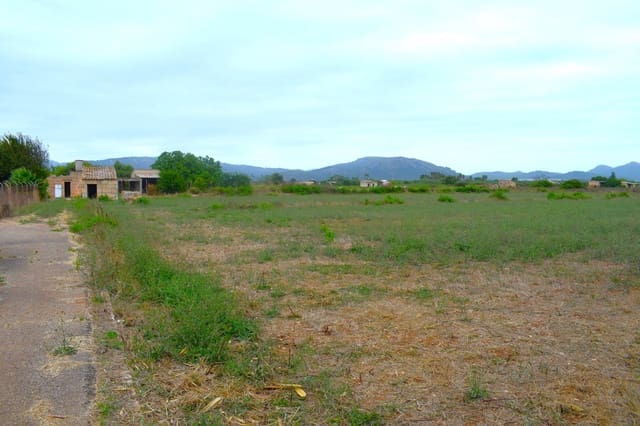 Rakentamaton maa myytävänä paikassa Muro - 45 000 € (Ref: 9753399)