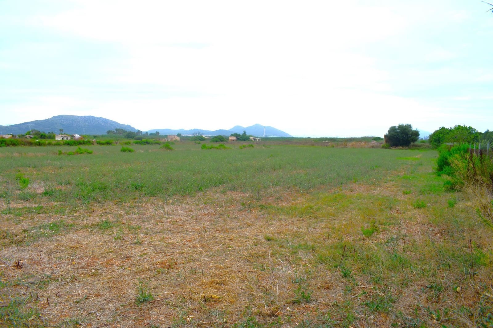 Rakentamaton maa myytävänä paikassa Muro - 45 000 € (Ref: 9753399)