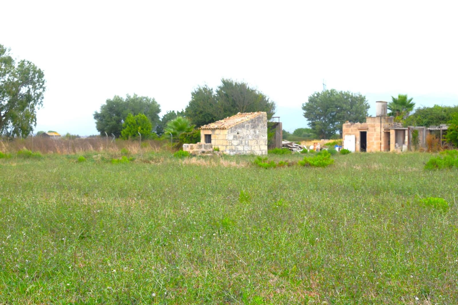 Rakentamaton maa myytävänä paikassa Muro - 45 000 € (Ref: 9753399)