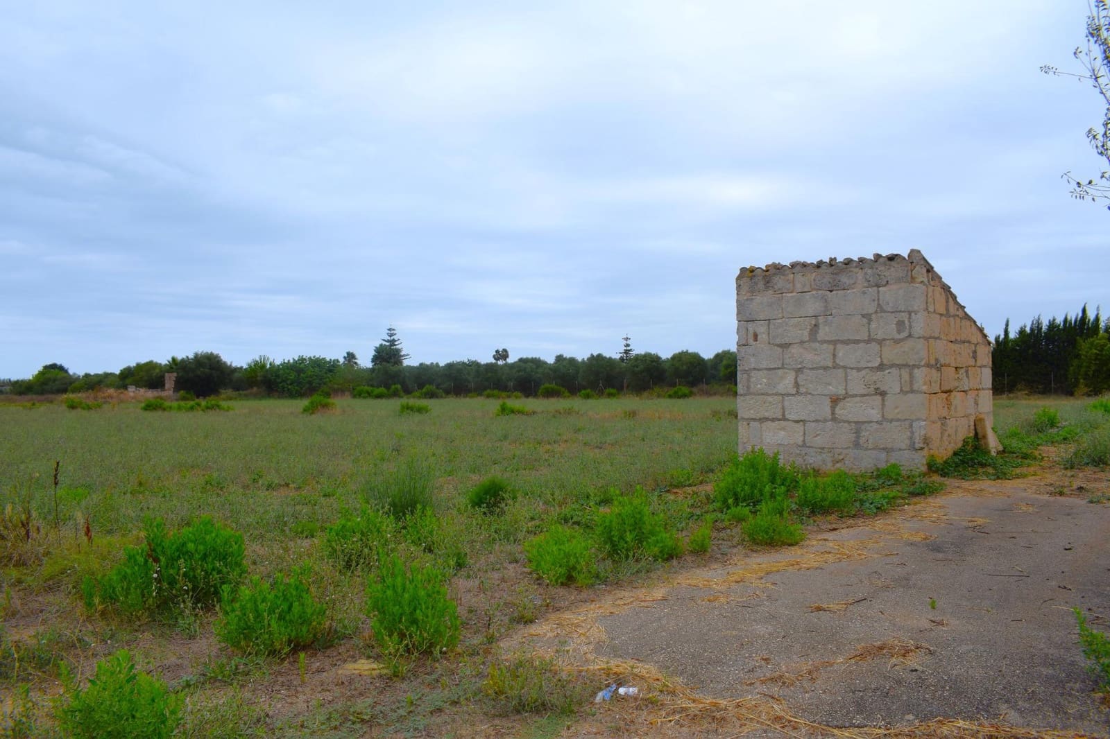 Rakentamaton maa myytävänä paikassa Muro - 45 000 € (Ref: 9753399)