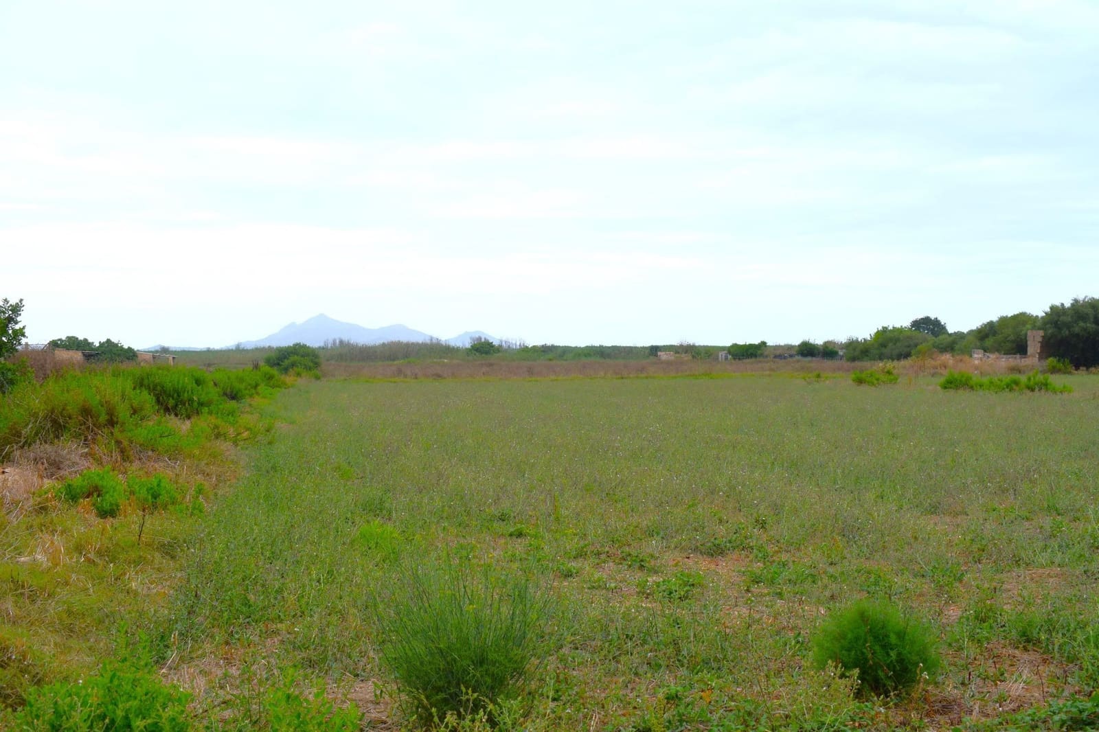 Rakentamaton maa myytävänä paikassa Muro - 45 000 € (Ref: 9753399)