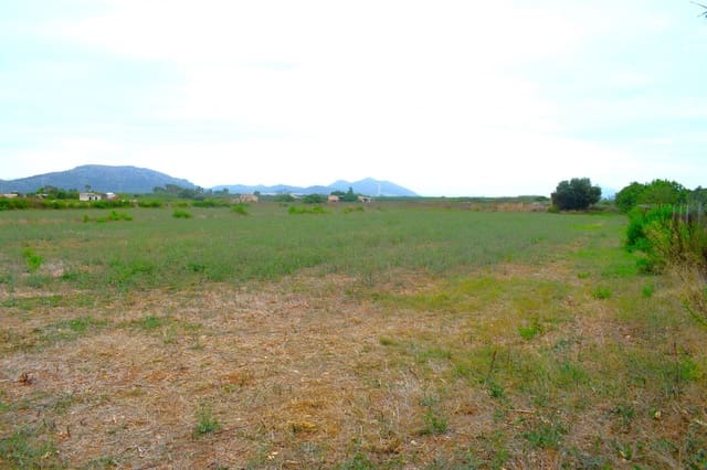 Rakentamaton maa myytävänä paikassa Muro - 45 000 € (Ref: 9753399)