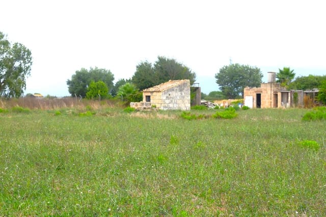 Rakentamaton maa myytävänä paikassa Muro - 45 000 € (Ref: 9753399)