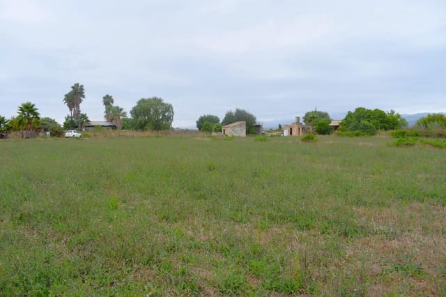 Rakentamaton maa myytävänä paikassa Muro - 45 000 € (Ref: 9753399)