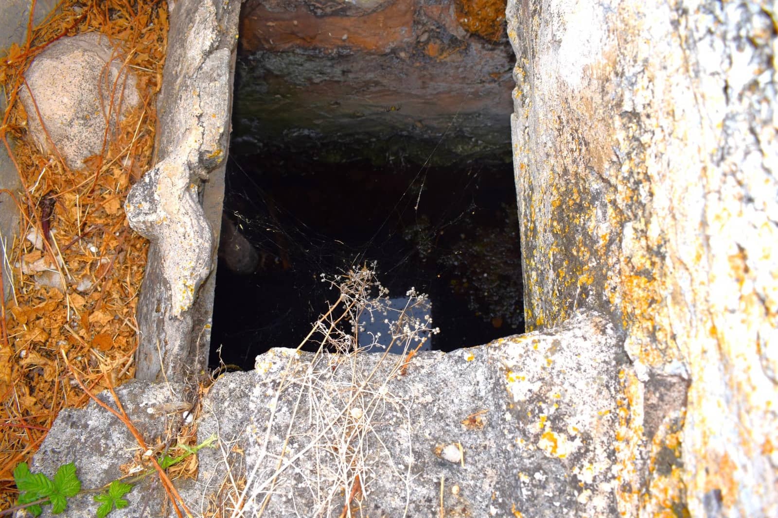 Rakentamaton maa myytävänä paikassa Muro - 45 000 € (Ref: 9753399)