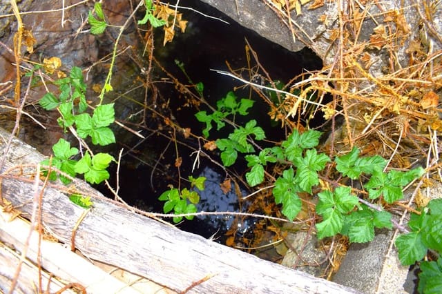 Rakentamaton maa myytävänä paikassa Muro - 45 000 € (Ref: 9753399)