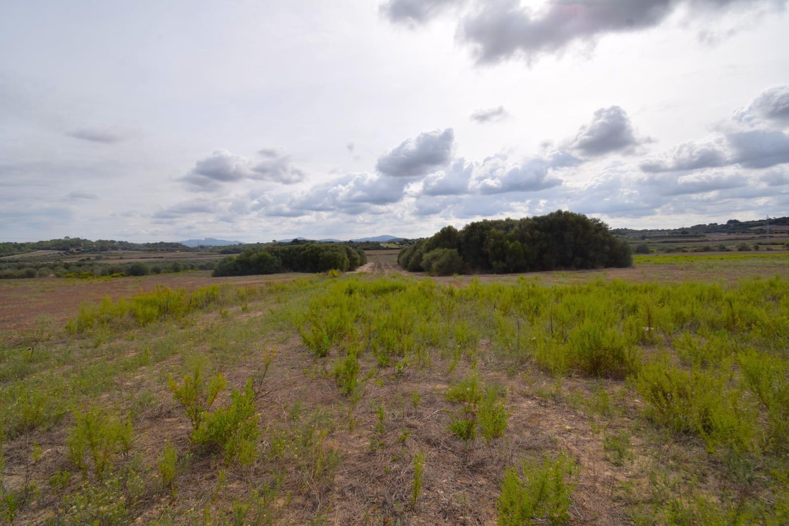 Area Edificabile in vendita in Muro - 595.000 € (Rif: 9753401)