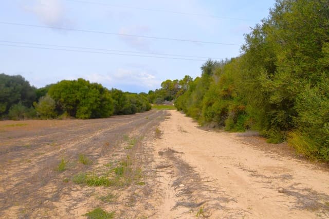 Area Edificabile in vendita in Muro - 595.000 € (Rif: 9753401)