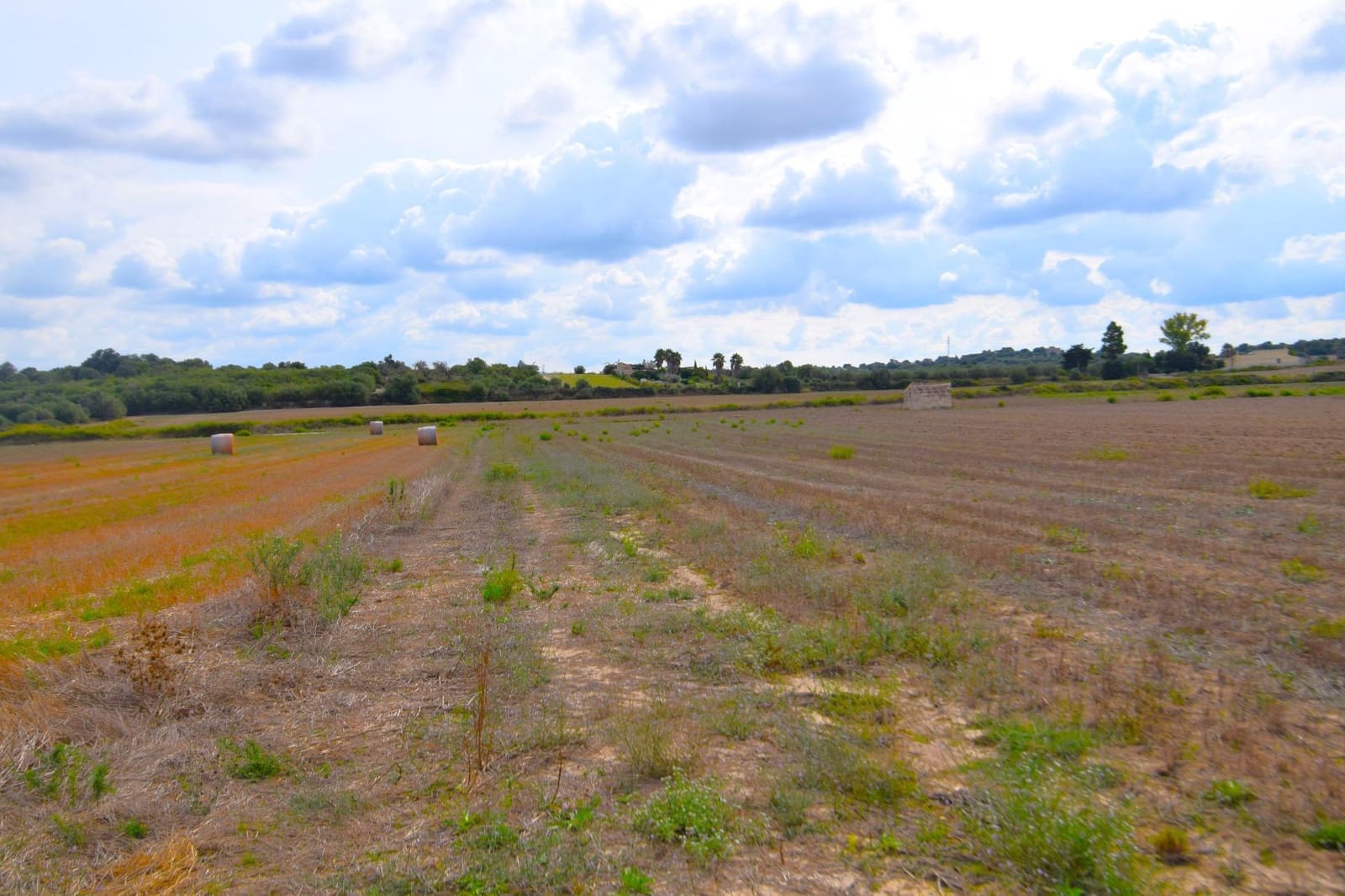 Area Edificabile in vendita in Muro - 595.000 € (Rif: 9753401)