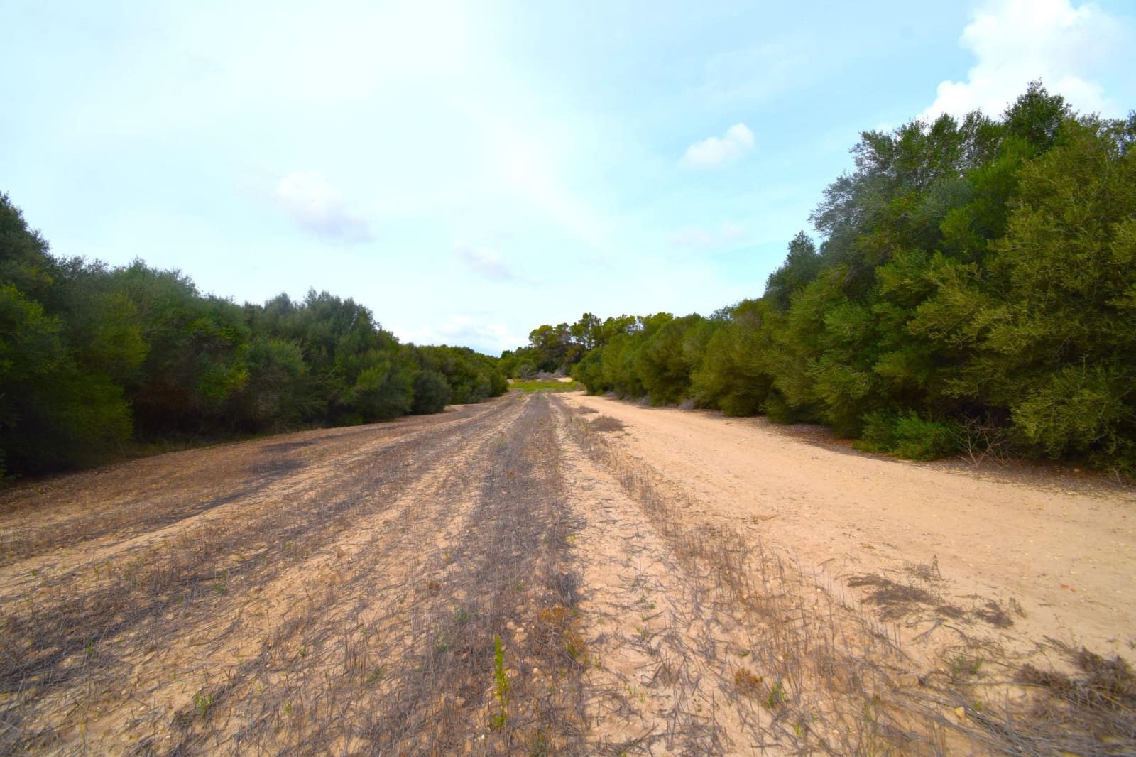 Area Edificabile in vendita in Muro - 595.000 € (Rif: 9753401)