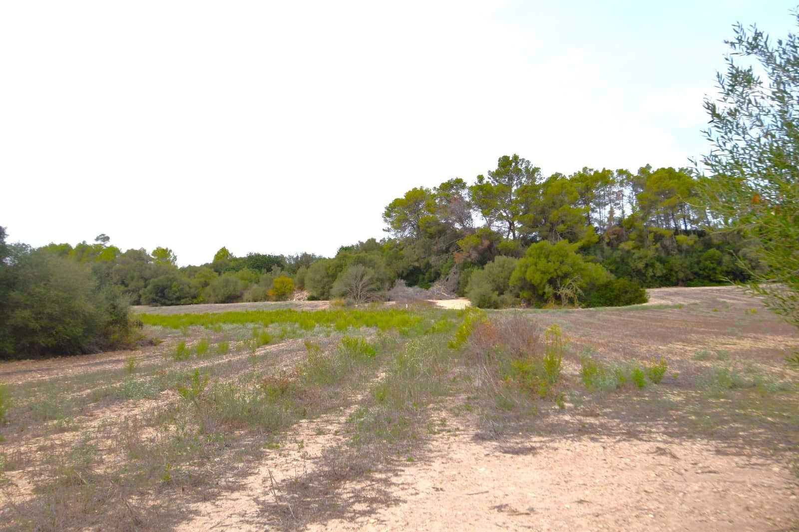 Area Edificabile in vendita in Muro - 595.000 € (Rif: 9753401)