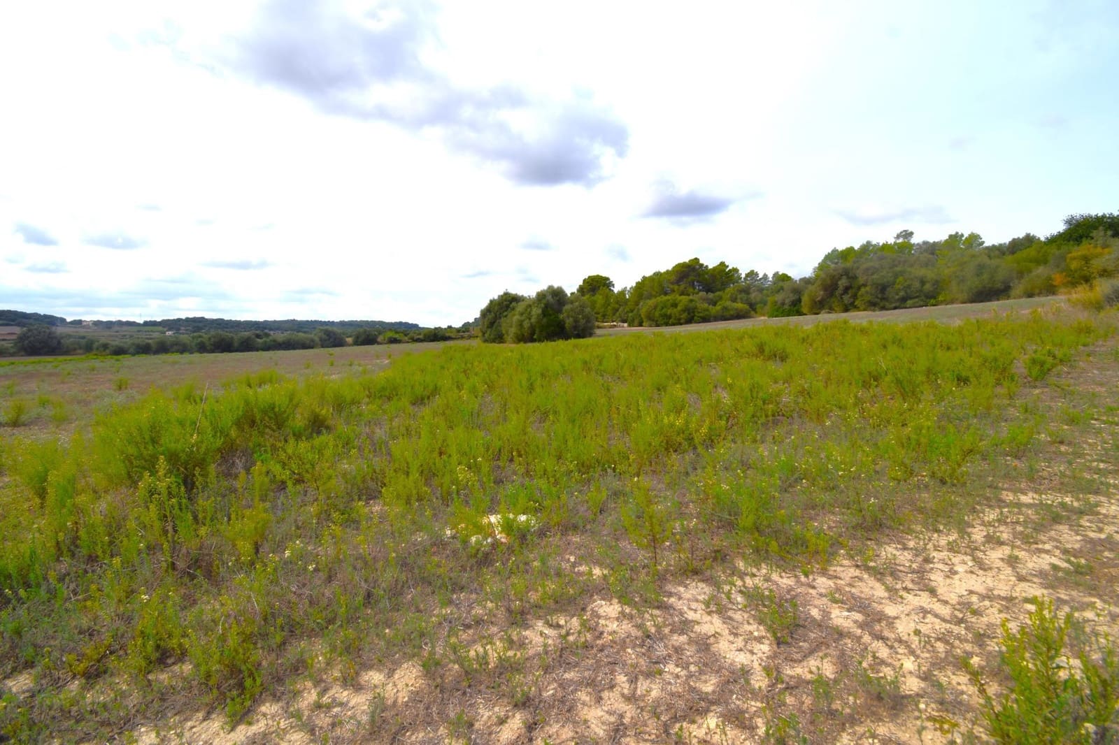 Area Edificabile in vendita in Muro - 595.000 € (Rif: 9753401)