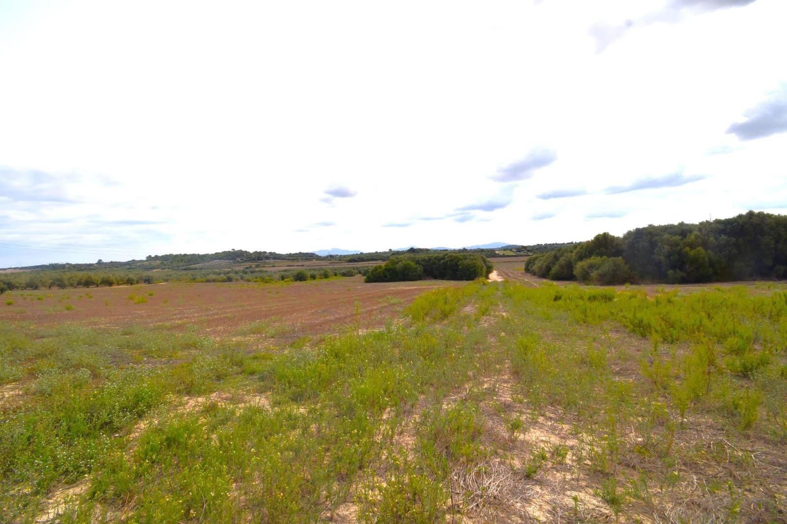 Area Edificabile in vendita in Muro - 595.000 € (Rif: 9753401)