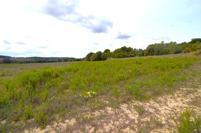 Area Edificabile in vendita in Muro - 595.000 € (Rif: 9753401)