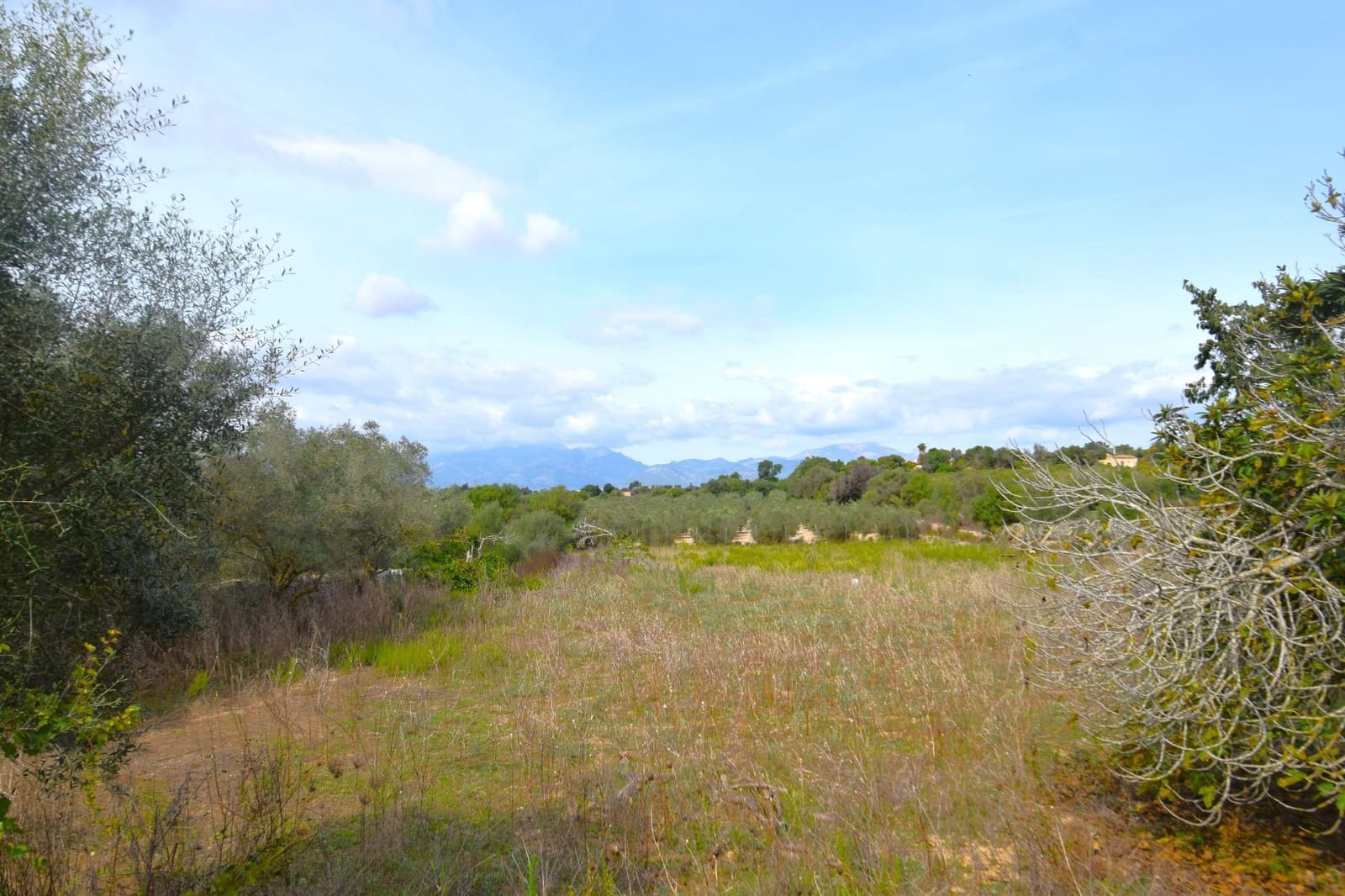 Area Edificabile in vendita in Muro - 595.000 € (Rif: 9753401)