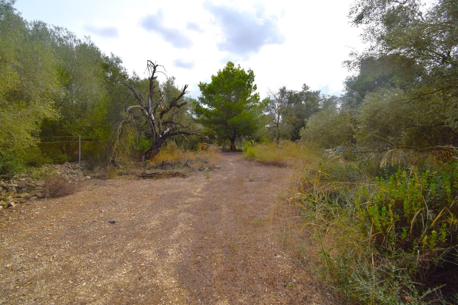 Area Edificabile in vendita in Muro - 595.000 € (Rif: 9753401)