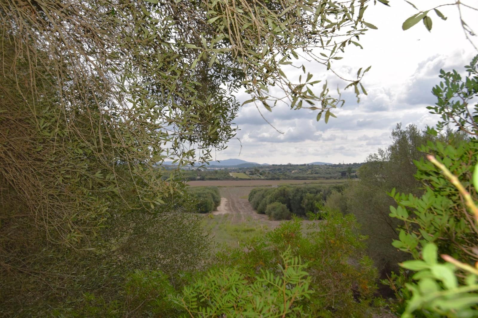 Area Edificabile in vendita in Muro - 595.000 € (Rif: 9753401)