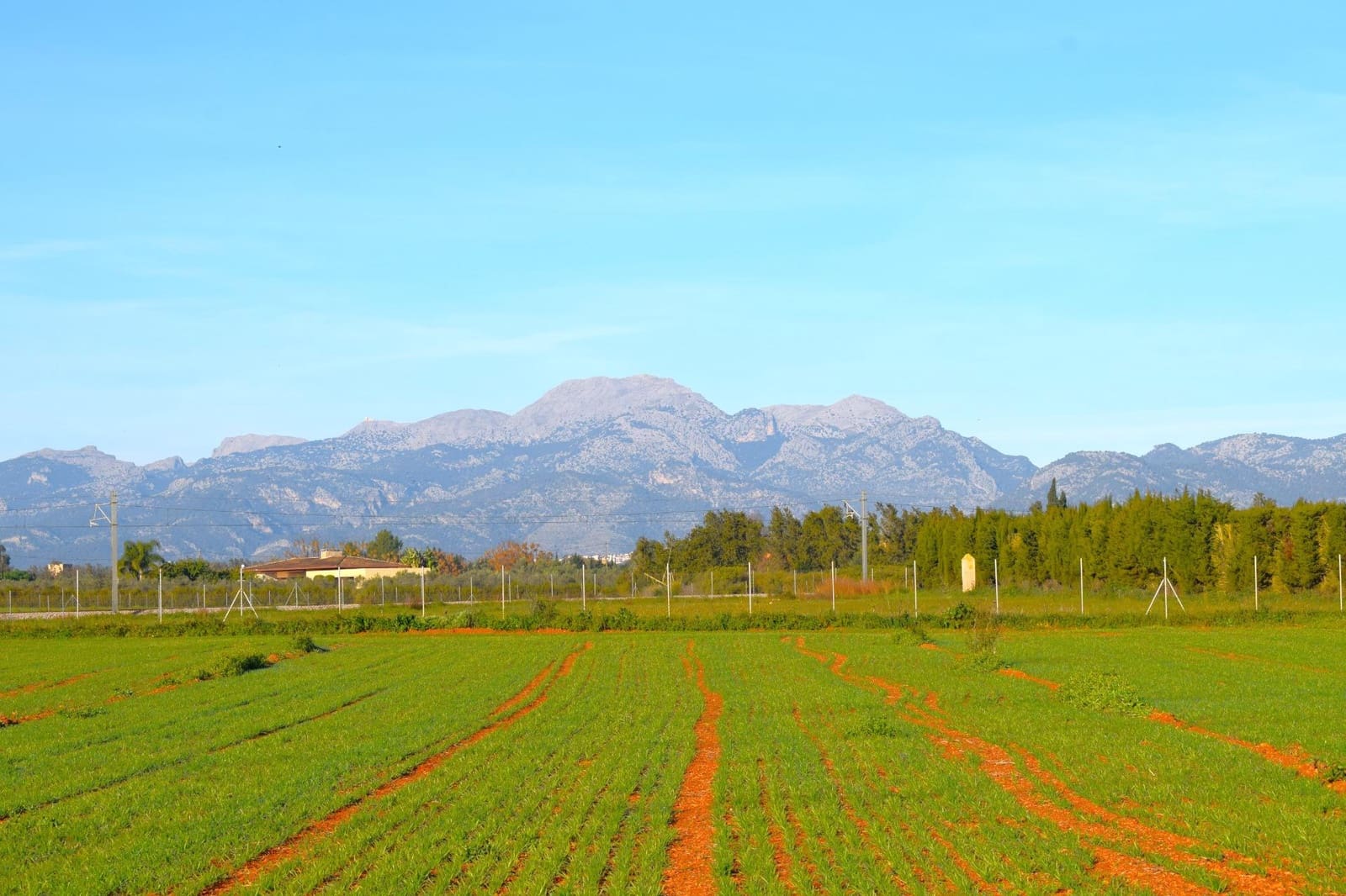 Działka budowlana na sprzedaż w Muro - 250 000 € (Ref: 9753402)